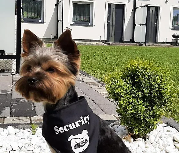 Sol Mare * Sarbinowo