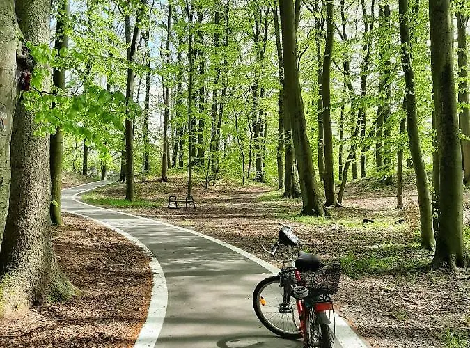 Daire Sol Mare Sarbinowo